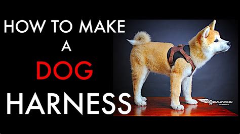 Diy Dog Harness Tutorial And Pattern Download Youtube