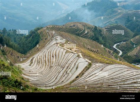 Longsheng rice terraces, Longji Terraced Fields, near Guilin, Guangxi