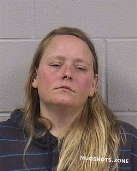 ROBERTSON TONYA ANN 07 05 2024 Dickinson County Mugshots Zone