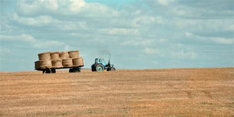 Atividades Economicas Do Campo - Campo: o que é e as características das zonas rurais