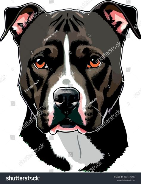 Pitbull Dog Terrier Breed Vector Stock Vector (Royalty Free) 2274121787