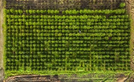 farm plot stock pictures editorial images  stock