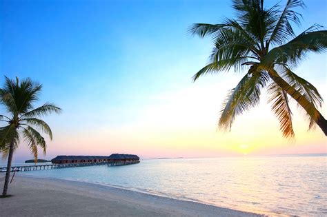 5 Romantic Beaches for an unforgettable Valentine’s in the Maldives - Alpha Maldives Blog