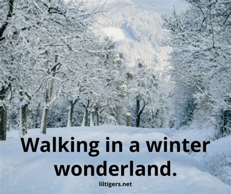 140 Best Winter Quotes and Sayings - Lil Tigers