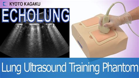 Lung Ultrasound Training Phantom ECHO LUNG US19 Kyoto Kagaku YouTube