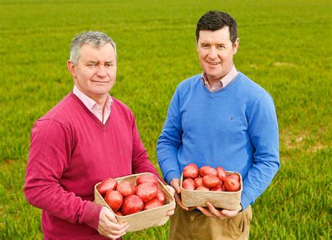 Increase vegetable prices or supermarket shelves will go bare, warn farmers