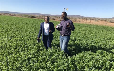 A Sleeping Giant The Eastern Cape And Its Agriculture Wandile Sihlobo