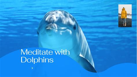 Relaxing Whales Dolphins Views Min Meditation Healing Sounds