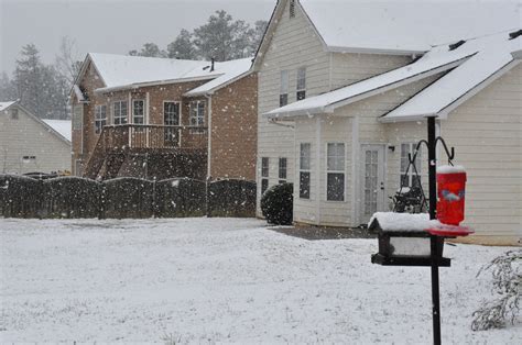 Snow In My Back Yard Free Stock Photo Public Domain Pictures