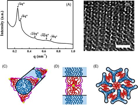 Unconventional microdomains of block copolymers - Woo - 2024 - Journal