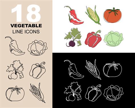 Big Set Of Vegetables Icons Black Line White Line Icons And Color