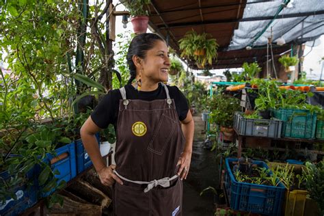 Volver a la tierra la revolución de los nuevos chefs de América Latina América Futura EL