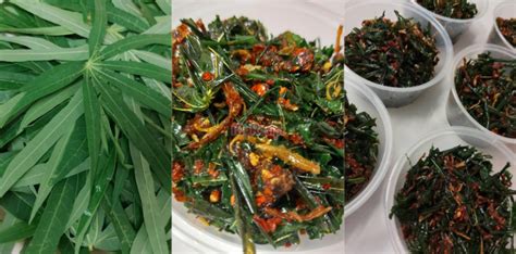 Pucuk Ubi Goreng Cili Api Buat Stok Tahan 2 Minggu