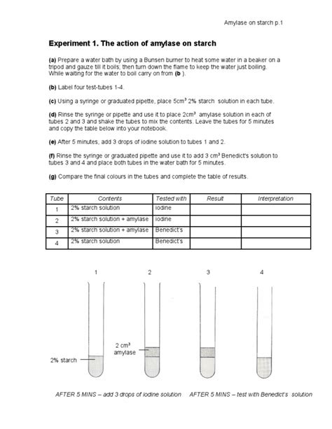 1.01 Experiment 1 Action of Amylase on Starch