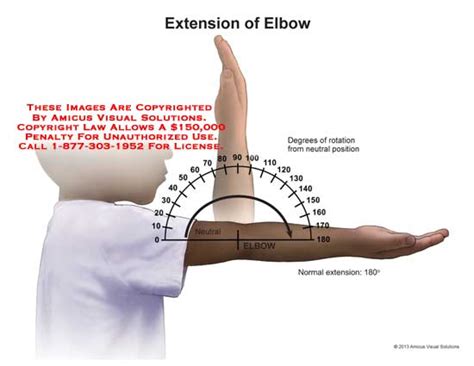 Amicus Illustration Of Amicus Elbow Extension Degrees Rotation Range Motion