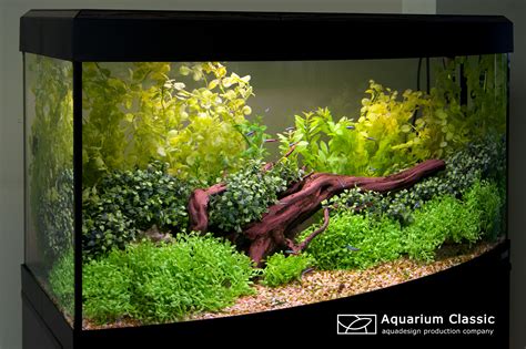 Аквариум на даче (71 фото) » НА ДАЧЕ ФОТО