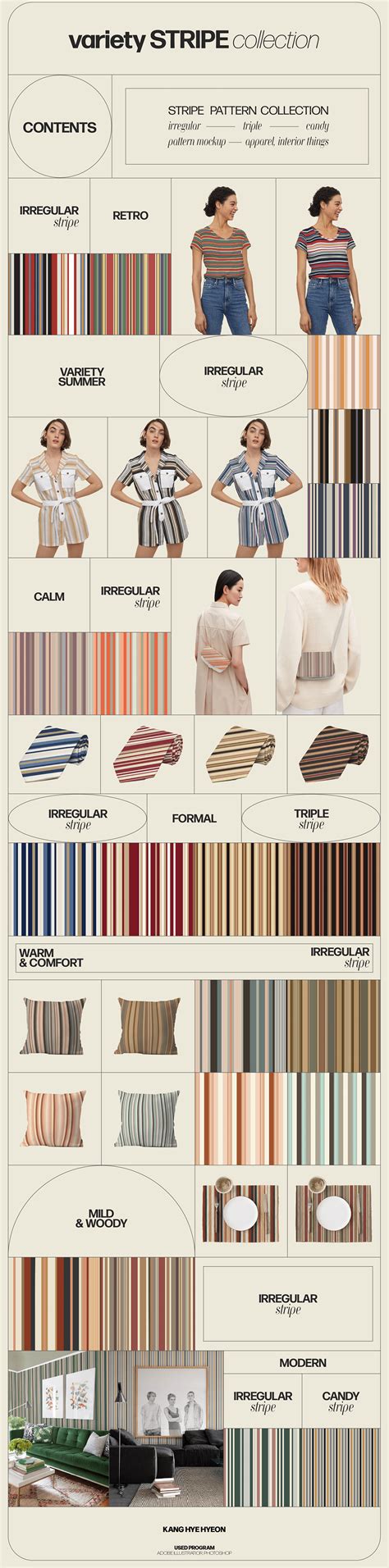 stripe design  behance