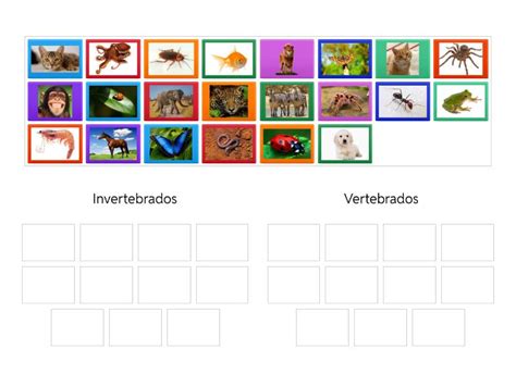 Exemplo De Animais Vertebrados E Invertebrados