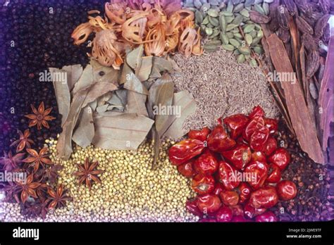 Spices And Condiments Garam Masala Stock Photo Alamy