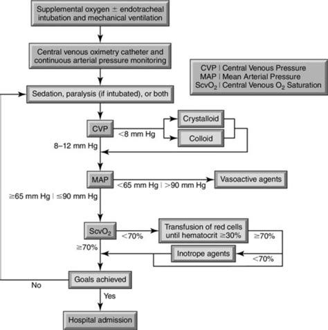 Hemodynamics Of Sepsis Anesthesia Key