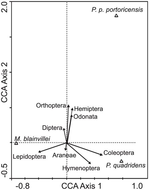Diet of Mormoopid Bats on the Caribbean Island of Puerto Rico