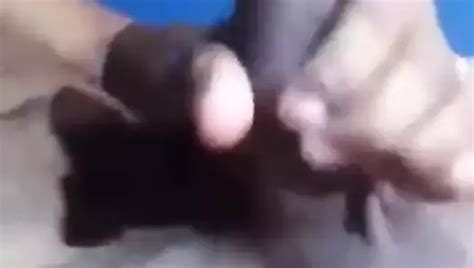 Sri Lankan Gay Porn Videos Xhamster