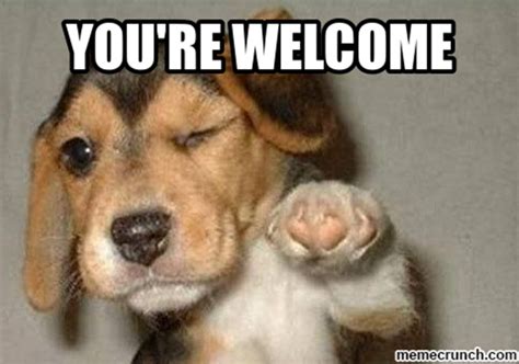 Funny Youre Welcome Meme