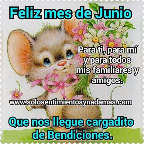 Feliz Mes De Junio Para Todos Solo Sentimientos Y Nada Mas