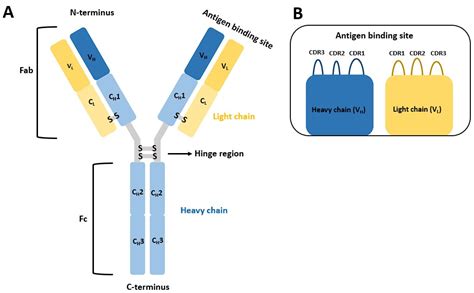 Pharmaceuticals | Free Full-Text | Design of Tetra-Peptide Ligands of ... 