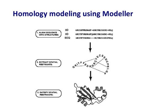 Homology modeling: Modeller