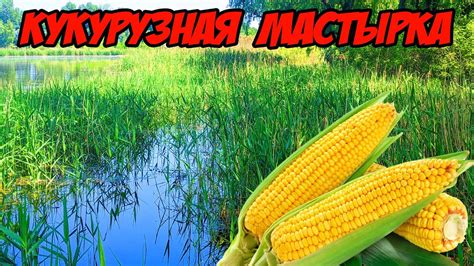 Кукурузная мастырка для ловли карася - YouTube