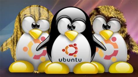 Llega La Nueva Versi N De Ubuntu El Sistema Operativo Libre M S