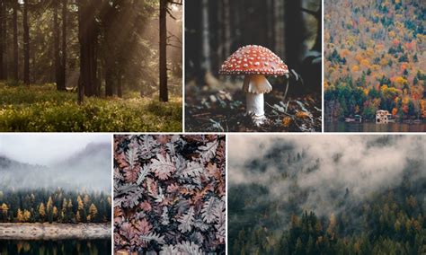 12 Awesome React Photo Gallery Components OnAirCode