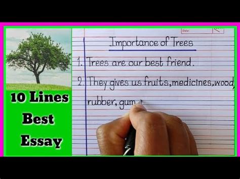 10 Lines On Importance Of Trees In English Writing Learn Essay YouTube