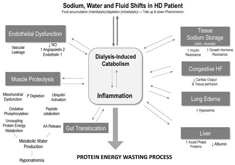 Fluid Overload and Tissue Sodium Accumulation as Main Drivers of