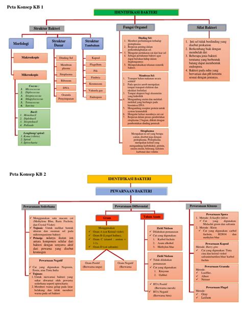 Peta Konsep Modul 5 Ppg Tlm Pdf