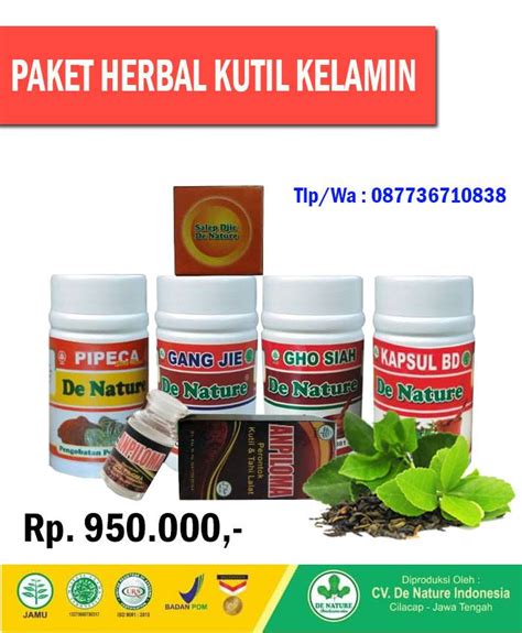 Daftar Obat Kutil Kelamin De Nature Di Jamin Asli Di Wates