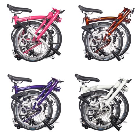 Is Sally Brompton The Most Accurate Astrologer Alive? Find Out Now! Image 12