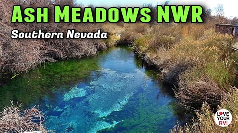 Ash Meadows National Wildlife Refuge In Southern Nevada Youtube