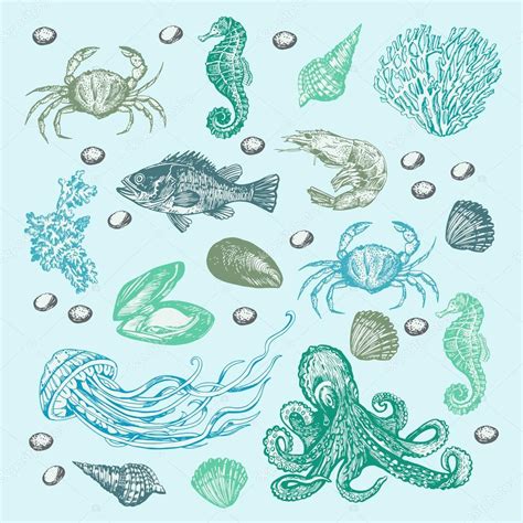 Underwater Chart Keski