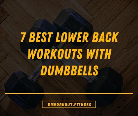 7 Best Lower Back Workouts With Dumbbells With Pictures Dr Workout