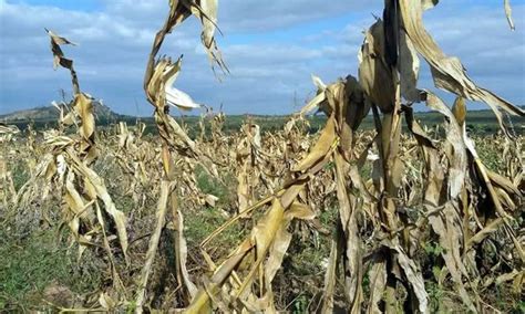 Inam Alerta Para Ocorr Ncia De Seca Moderada A Severa Em Tr S