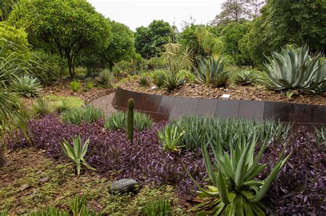 Presumen Jardín Botánico de Culiacán como uno de los más bonitos del