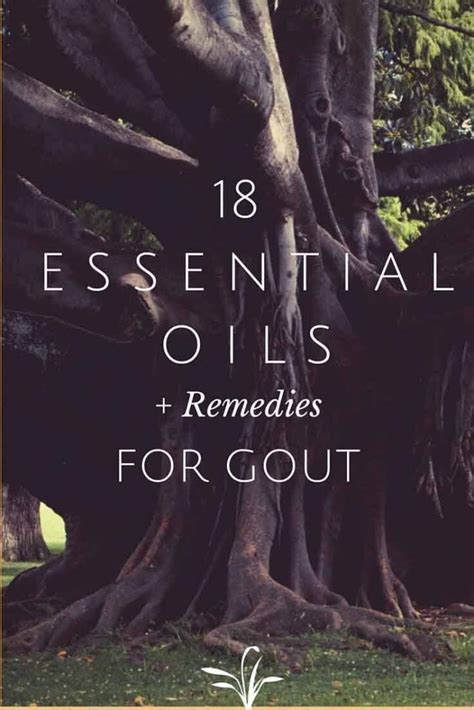 Essential Oils For Gout Plus Mixtures And Application Tips