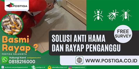 Spesialis Anti Rayap Murah Jakarta Postiga Pest Control