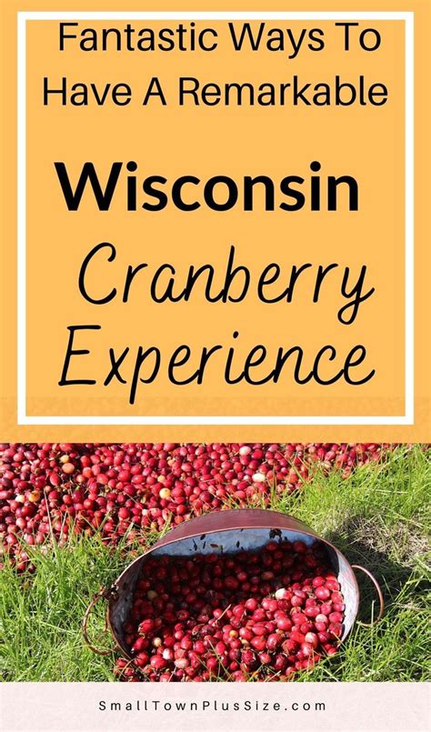 Experience the Beauty of Wisconsin Cranberries