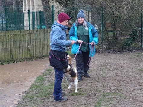 Moniteur en éducation canine 2ème degré en Ile de France les 19-20