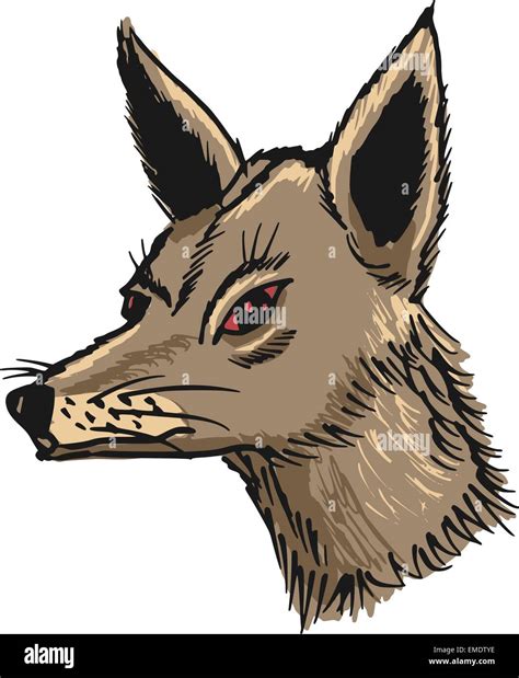 Illustration Jackal Hi Res Stock Photography And Images Alamy