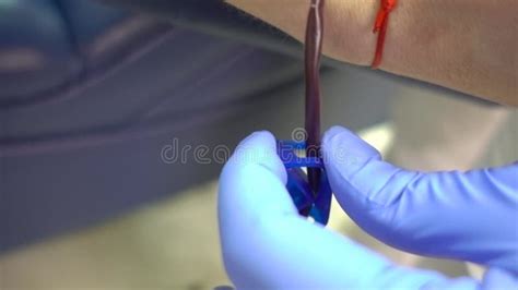 Blood Donor Concept Doctor Collecting Blood Sampling In Syringe Tube