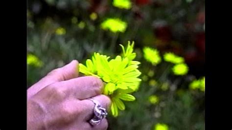 Max Hardcore Search XVIDEOS